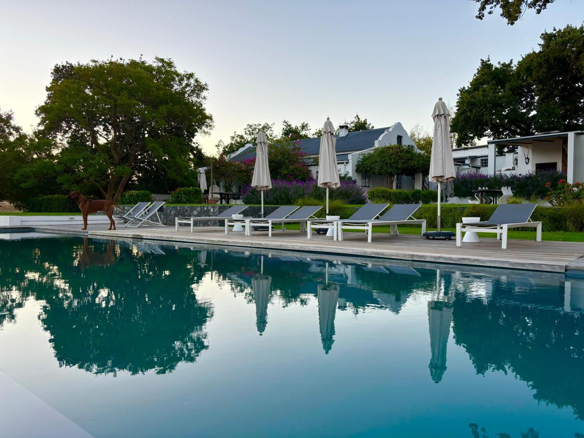 Tempel Wines Hotel Paarl Exterior photo